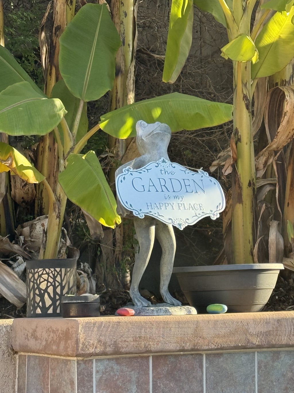 Reviving Victory Gardens: A Modern Take