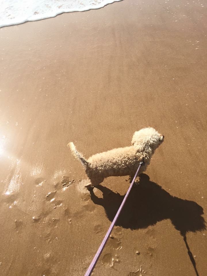 Begin Anywhere – How I ditched the self doubt and learned to reclaim my life in my&nbsp;60’s.